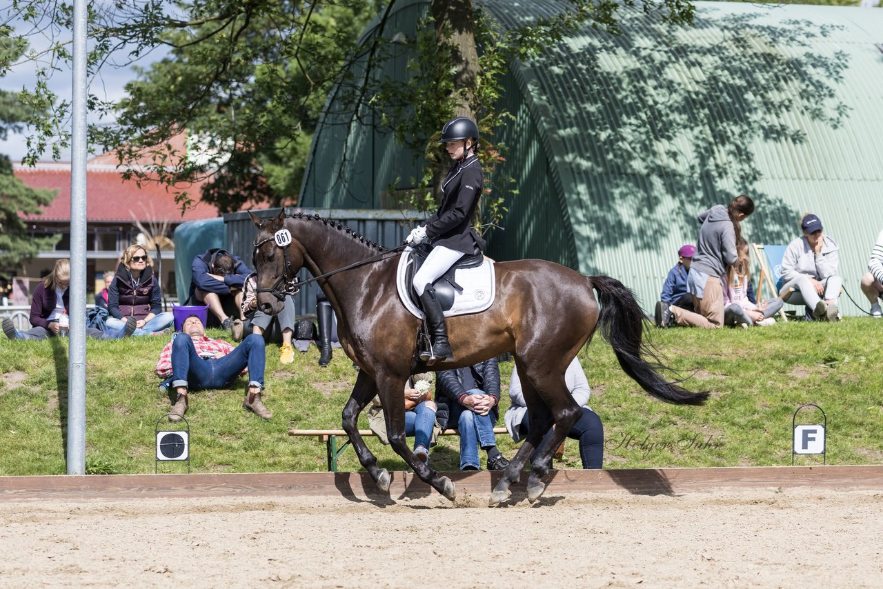 Bild 687 - Pony Akademie Turnier